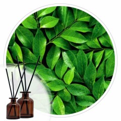 Essência Pétalas Delicadas 50ml