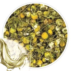 Extrato Glicolico de Camomila 100ml