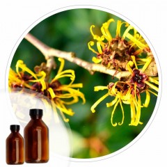 Essencia Hamamelis - 50ml