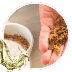 Extrato Glicolico de Própolis 100ml