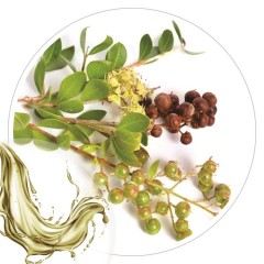 Extrato Glicolico de Henna 100ml