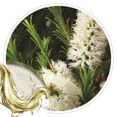 Extrato Glicolico de Melaleuca 100ml