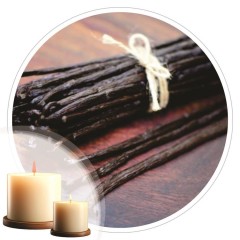 Essência Vanilla Pv 50ml