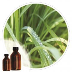 Essencia Citronela - 50ml