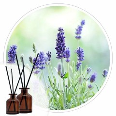 Essência Lavanda Musk 50ml