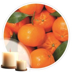 Essência Bergamota 50ml