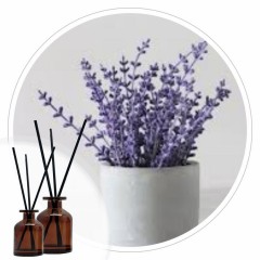 Essência T.B Lavanda 50ml