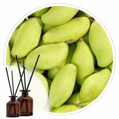 Essência Mangue Vert 50ml