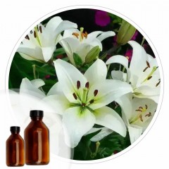Essencia Lirio - 50ml
