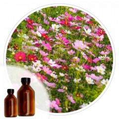 Essencia Flor do Campo - 50ml