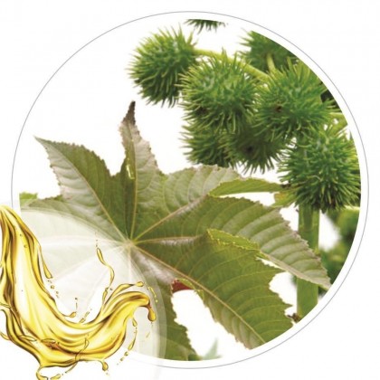 Oleo Vegetal de Ricino 100 ml