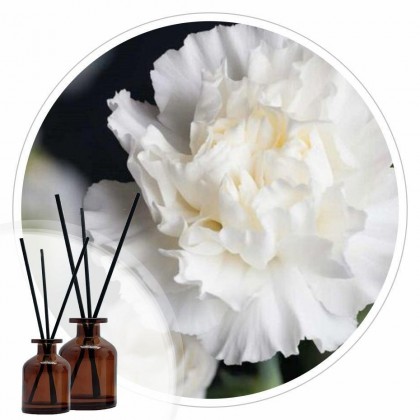 Essência Flores Brancas 50ml