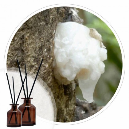 Essência Breu Branco 50ml