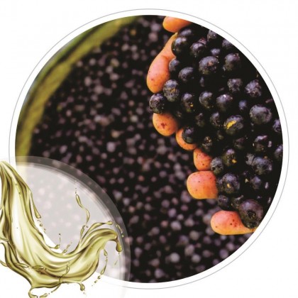 Extrato Glicolico de Açai 100ml