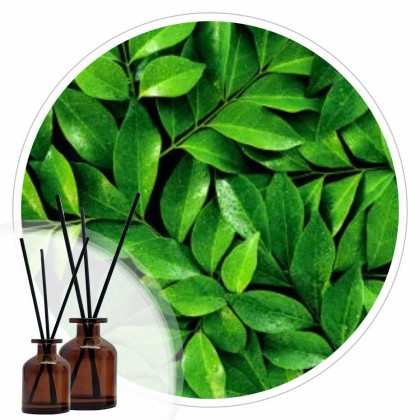 Essência Pétalas Delicadas 50ml