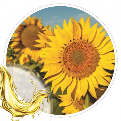 Oleo Vegetal de Girassol 100ml