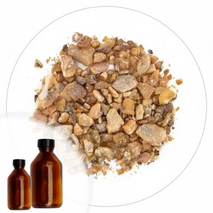 Essencia Benjoin - 50ml