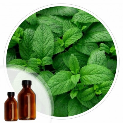 Essencia Hortela - 50ml