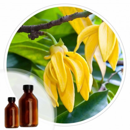 Essencia Ilang Ilang - 50ml