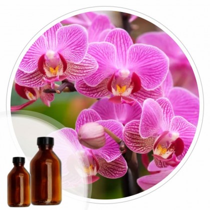Essencia Orquidea - 50ml