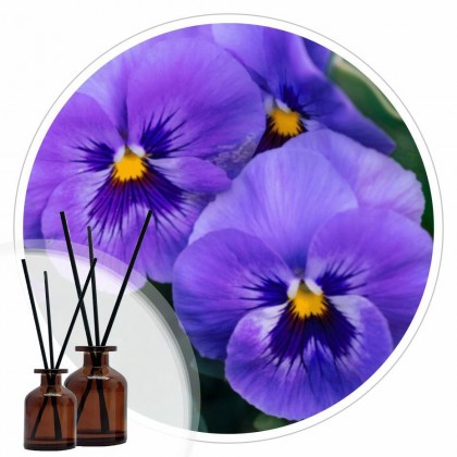 Essência Violet 50ml