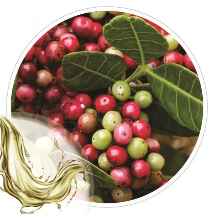 Extrato Glicolico de Aroeira 100ml