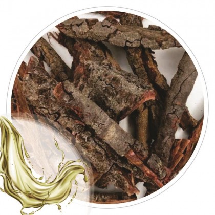 Extrato Glicolico de Barbatimao 100ml