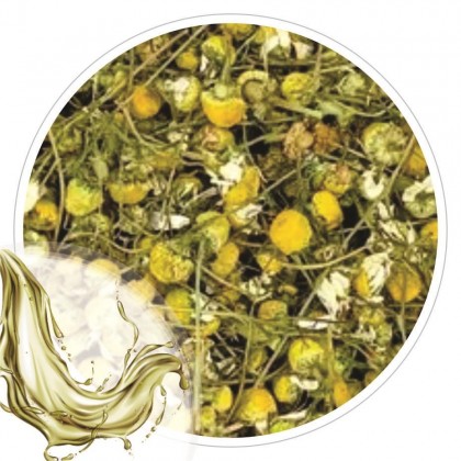 Extrato Glicolico de Camomila 100ml
