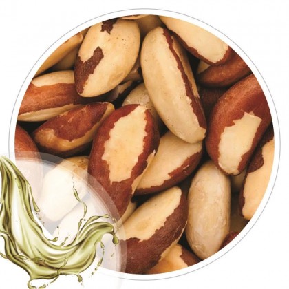 Extrato Glicolico de Castanha do Para 100ml