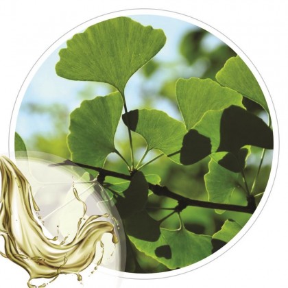 Extrato Glicolico de Ginkgo Biloba100ml