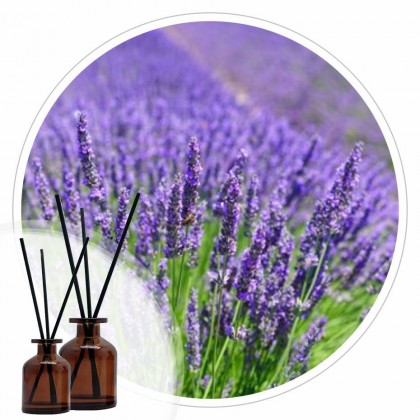 Essência Lavanda Inglesa 50ml