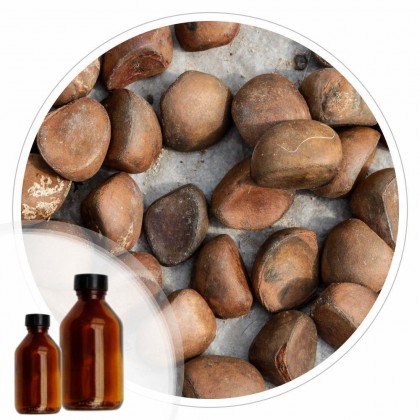 Essencia Andiroba - 50ml