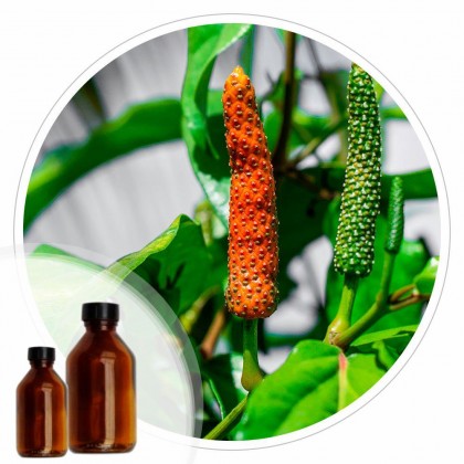 Essencia Jaborandi - 50ml