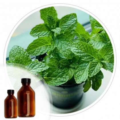 Essencia Menta - 50ml