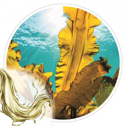Extrato Glicolico de Algas Marinhas 100ml