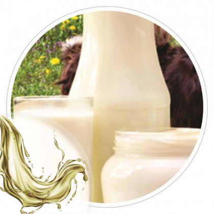 Extrato Glicolico de Leite de Cabra 100ml