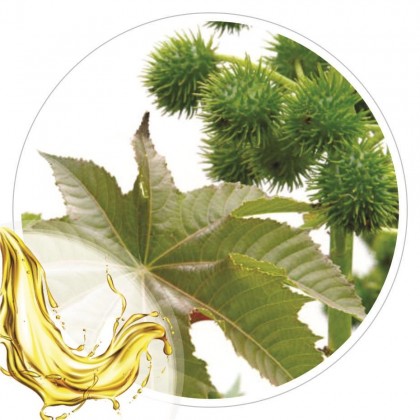 Oleo Vegetal de Ricino 100 ml
