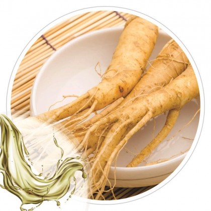 Extrato Glicolico de Ginseng 100ml