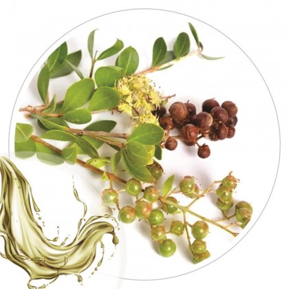 Extrato Glicolico de Henna 100ml