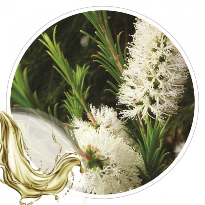Extrato Glicolico de Melaleuca 100ml