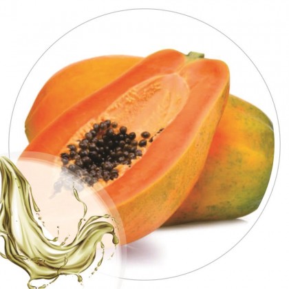 Extrato Glicolico de Papaya 100ml