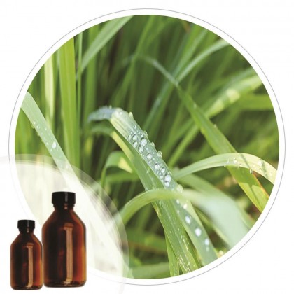 Essencia Citronela - 50ml