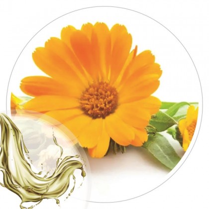 Extrato Glicolico de Calendula 100ml
