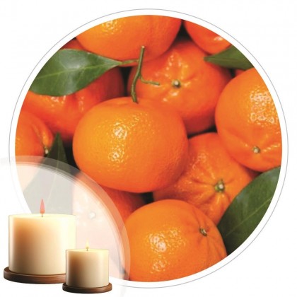Essência Bergamota 50ml