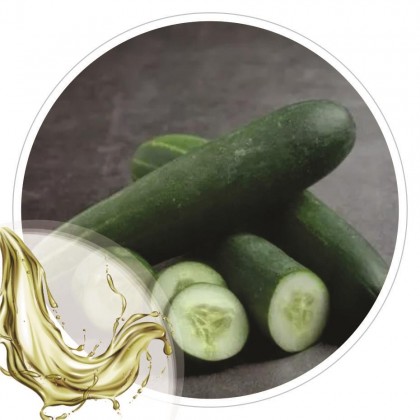 Extrato Glicolico de Pepino 100ml
