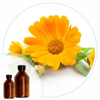 Essencia Calendula - 50ml