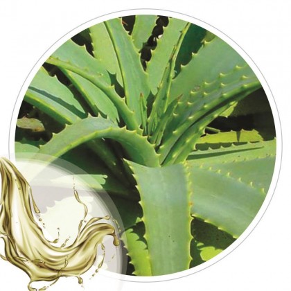 Extrato Glicolico de Babosa 100ml