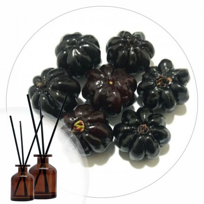 Essência Pitanga Negra 50ml
