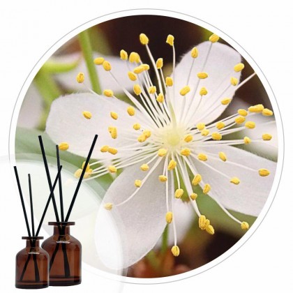 Essência Flor de Pitanga 50ml