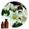 Essencia Lirio - 50ml